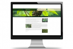 Apresentação-Inez-Oliveira-oil-05-web-2019-008